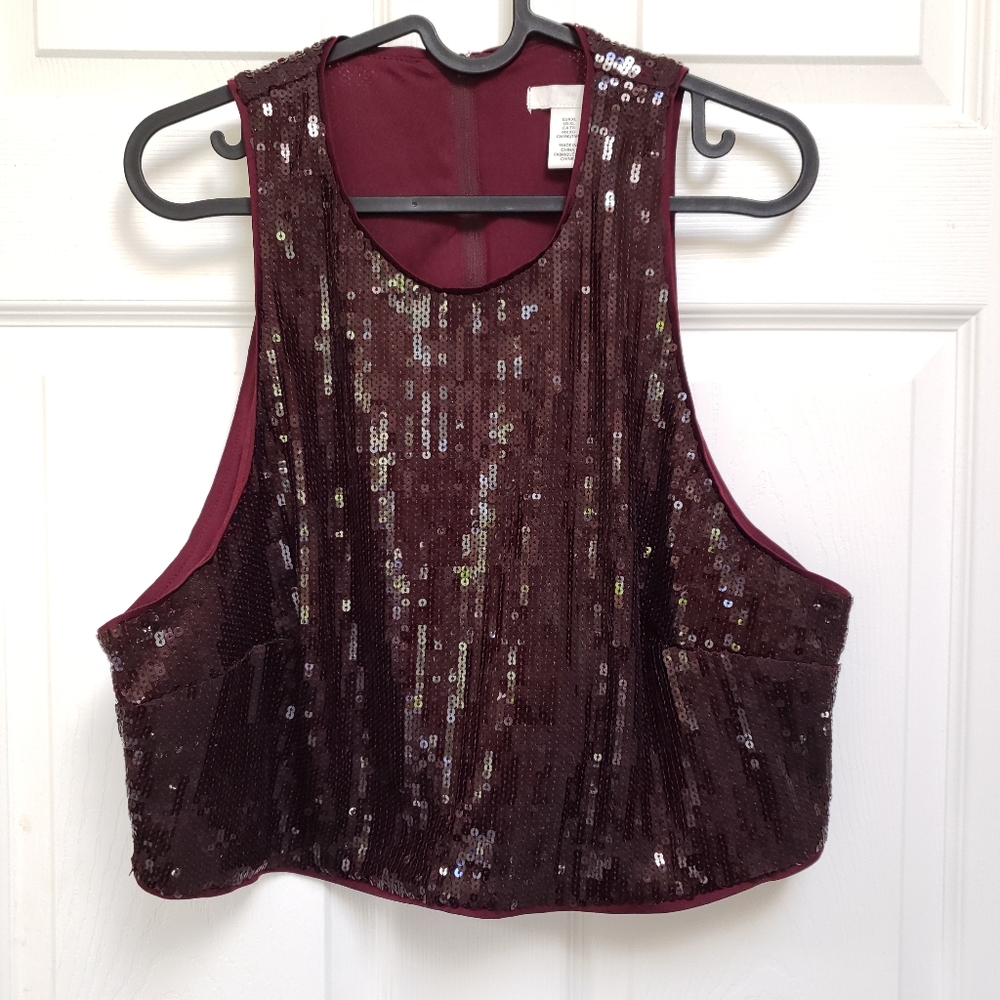 H&M Burgundy Red Sequined Sleeveless Back Zip Crop Top